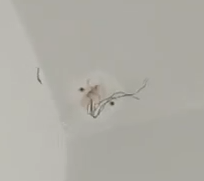 Pozostałości po monitoringu w szkolnych toaletach (w części z kabinami) -- wycinek z jednego z materiałów autorskich