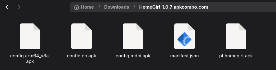 Lista pięciu plików po rozpakowaniu archiwum XAPK